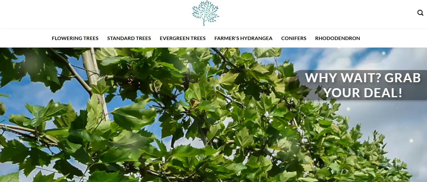 Tuinsprankel.com Image