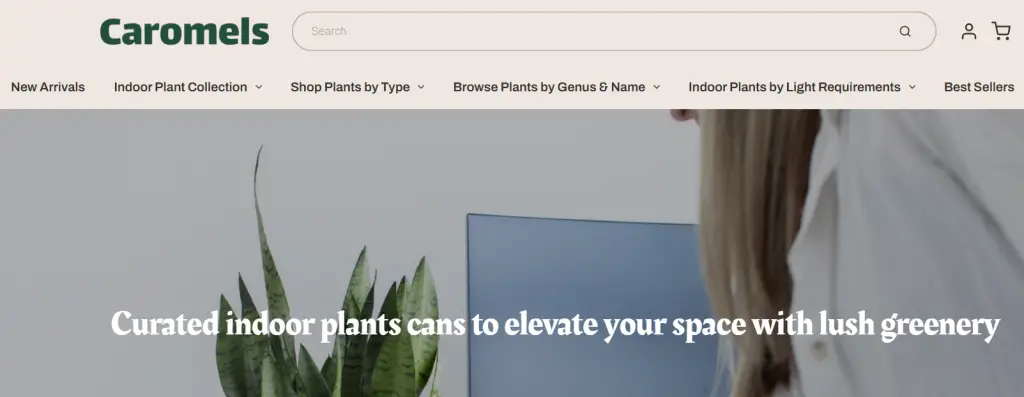 Caromels.com Image