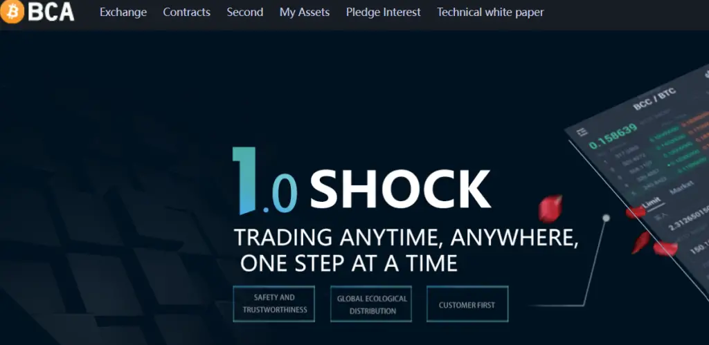 Bcoinauroras.com Image