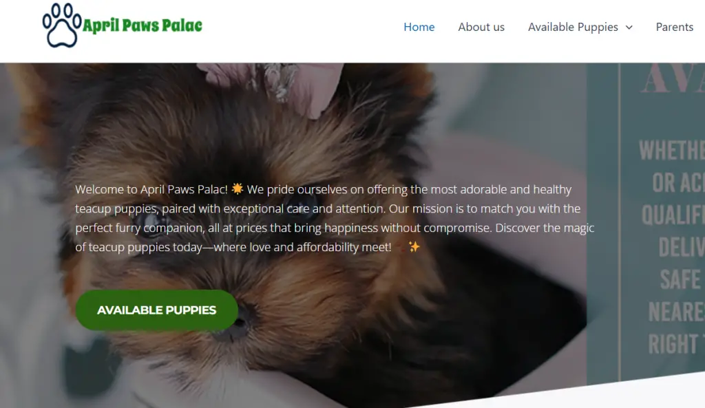 Aprilpawspalac.store Image 